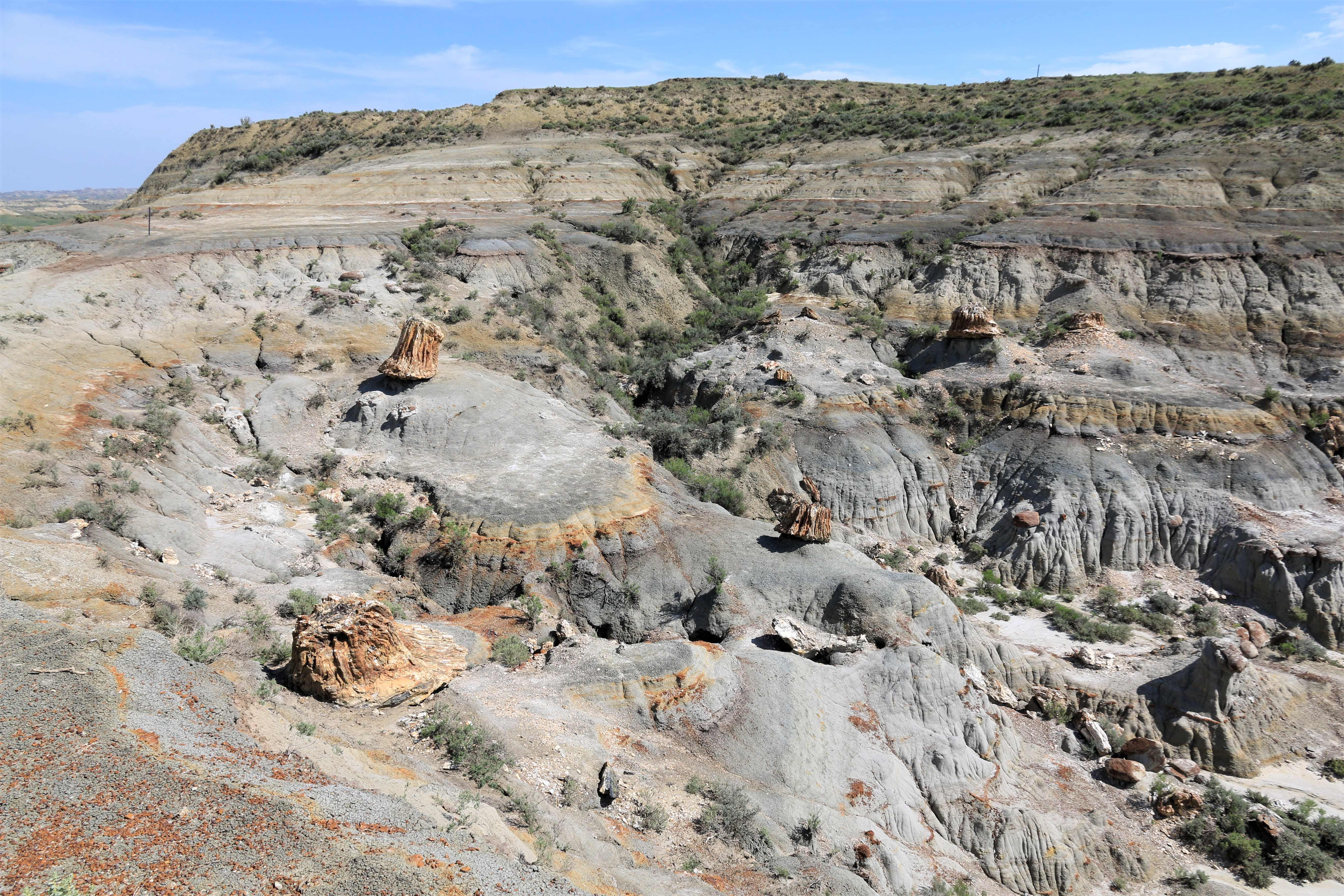 Theodore Roosevelt NP